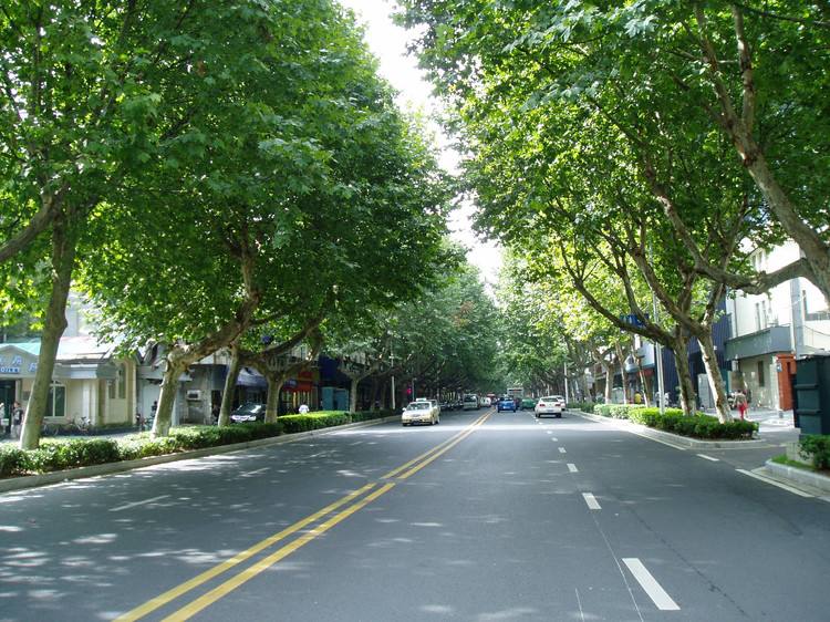 青島庭院設計,青島別墅景觀設計 青島庭院設計,青島別墅景觀設計