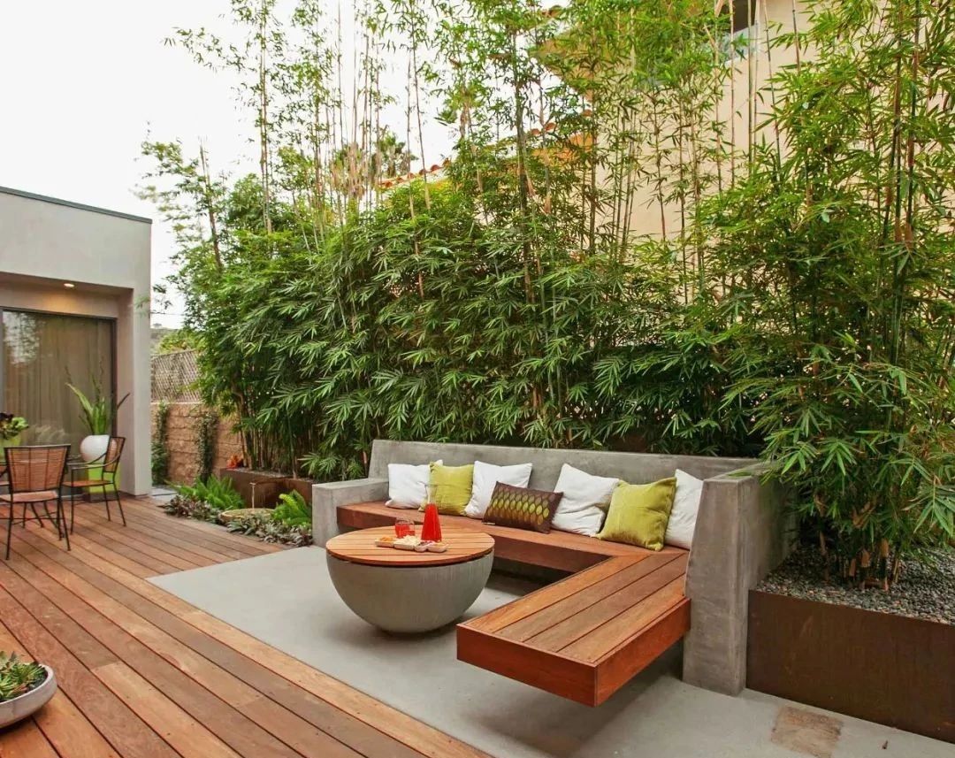 現(xiàn)代庭院也能有茂林修竹，種下一片清幽秀麗