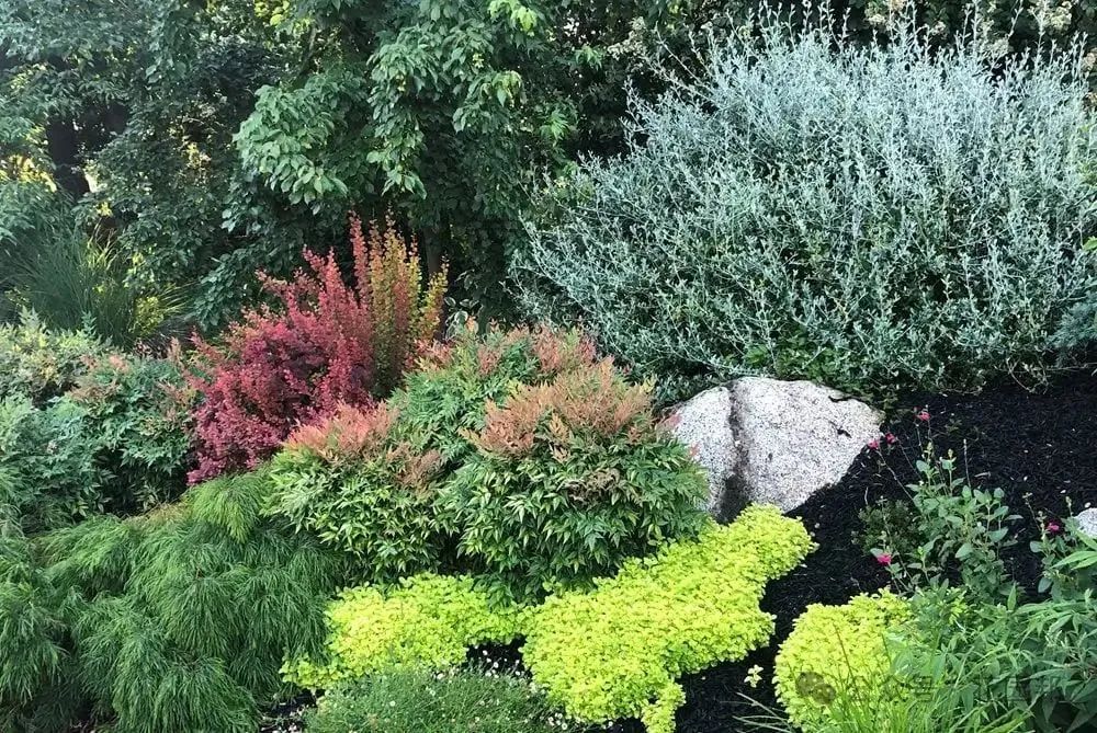 用葉子設計花園